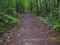 PemiBridgeHike (28)